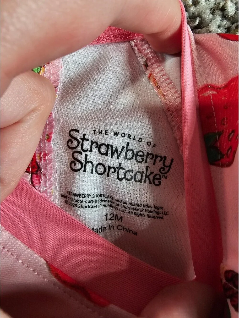 World of Strawberry Shortcake Baby Girls Sz 12M One Piece Swimsuit Pink